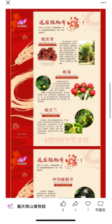 439c93ffd2bcbf08ca7dad5b4c1d2e7